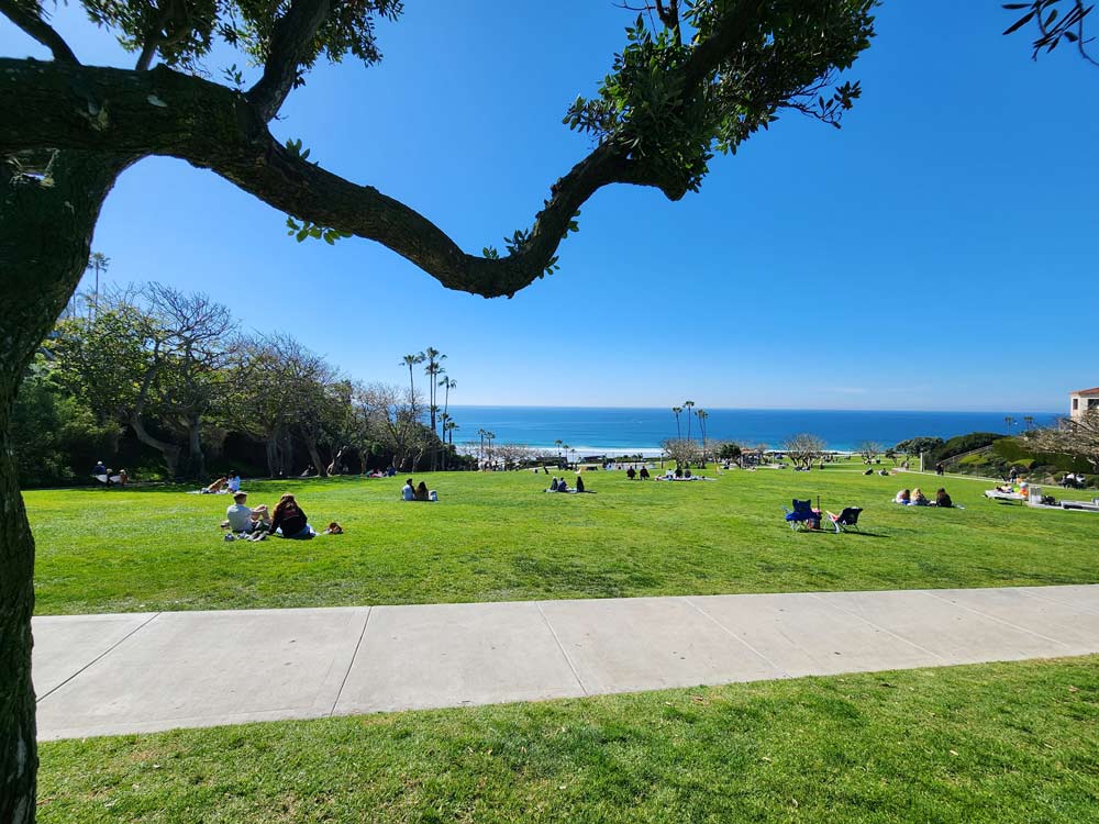 Salt Creek 