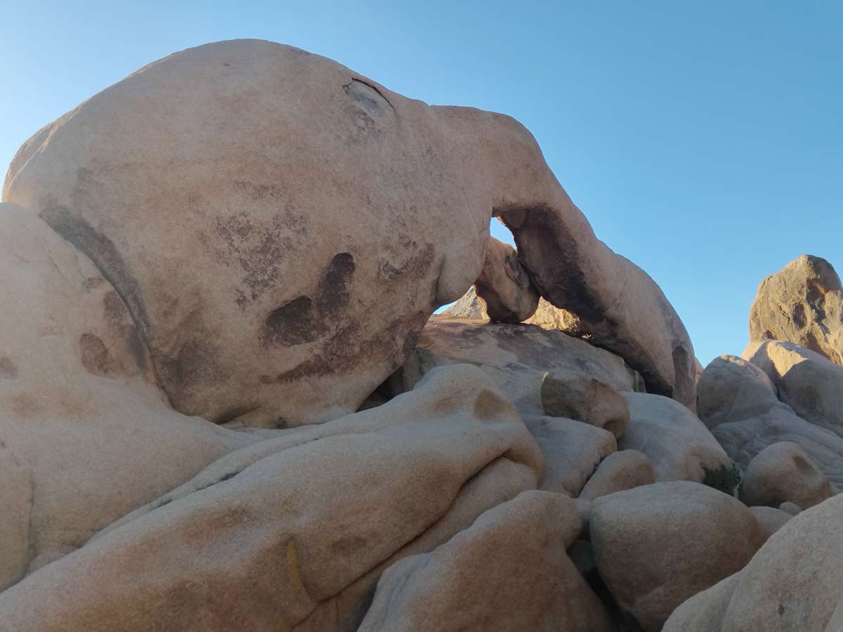 Your Guide to Visiting Joshua Tree [2024] – Go Travel California