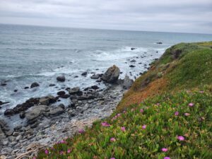 Cambria State Marine Conservation Area