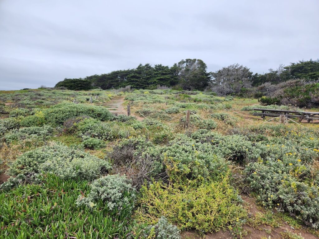 hiking trail at Leffingwell Landing