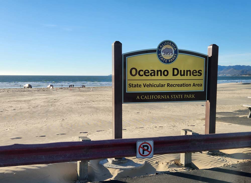Ocean Dunes
