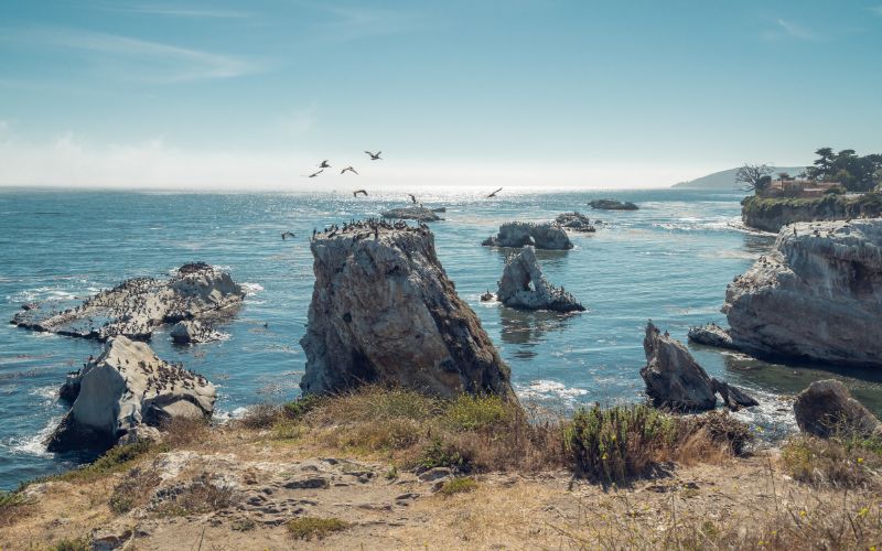 Shell Beach area