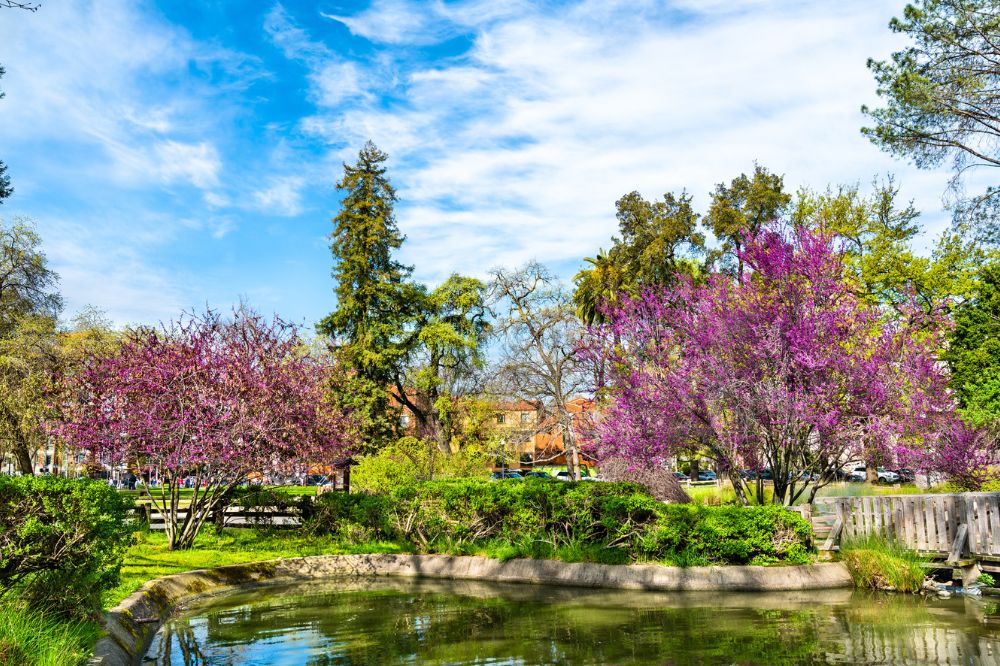 Sutter's fort historic park