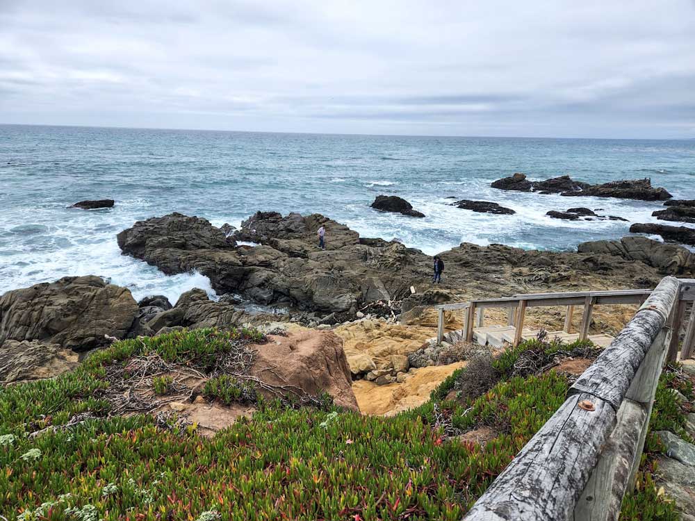 Cambria tide pools