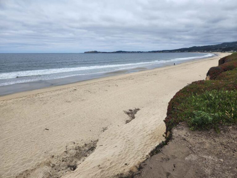 Best Things to Do in Half Moon Bay – Go Travel California