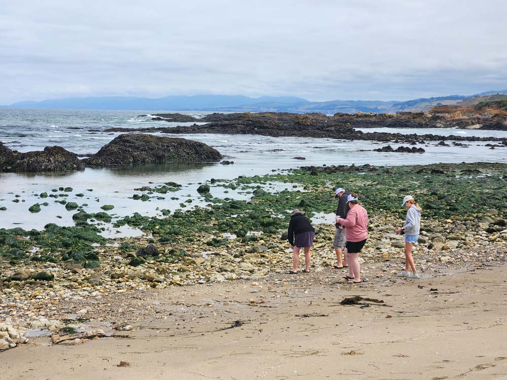 Pescadero State Beach tidepools