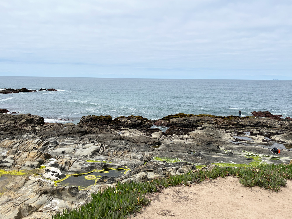 Bean Hollow State Beach tide pools