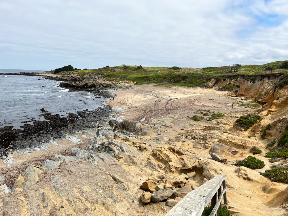 Bean Hollow Beach