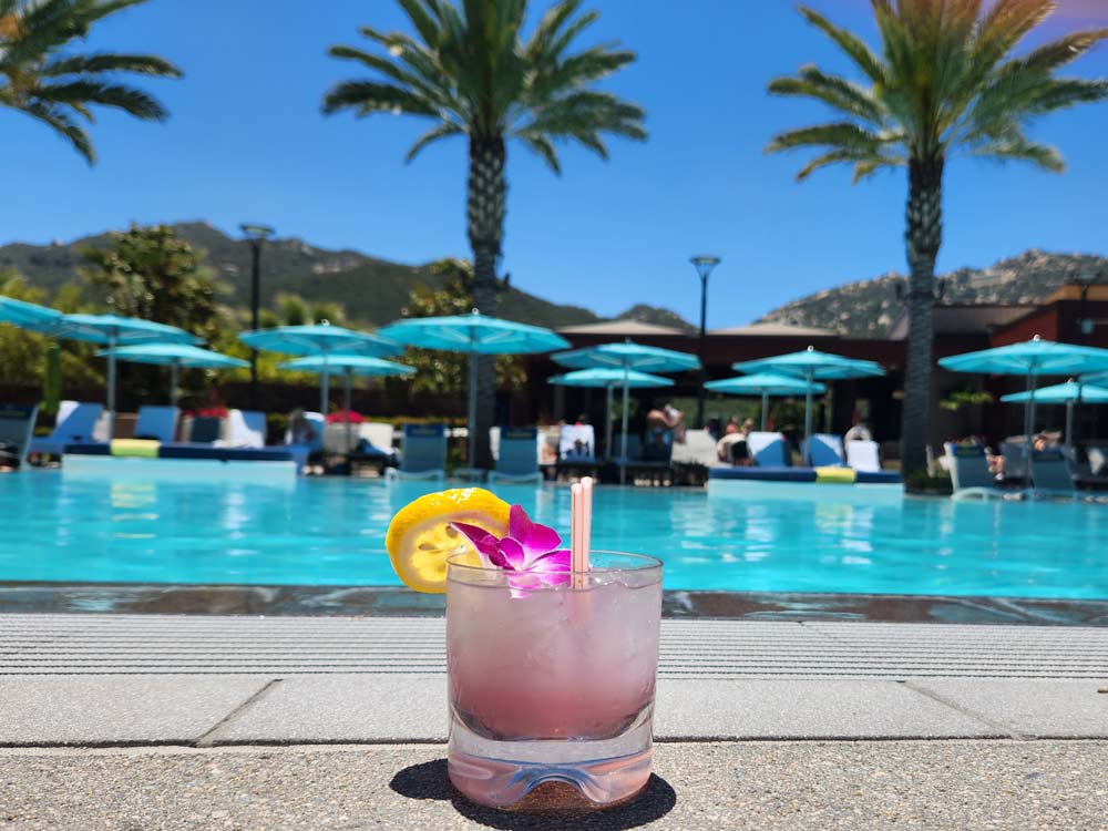 cocktails at the Cove