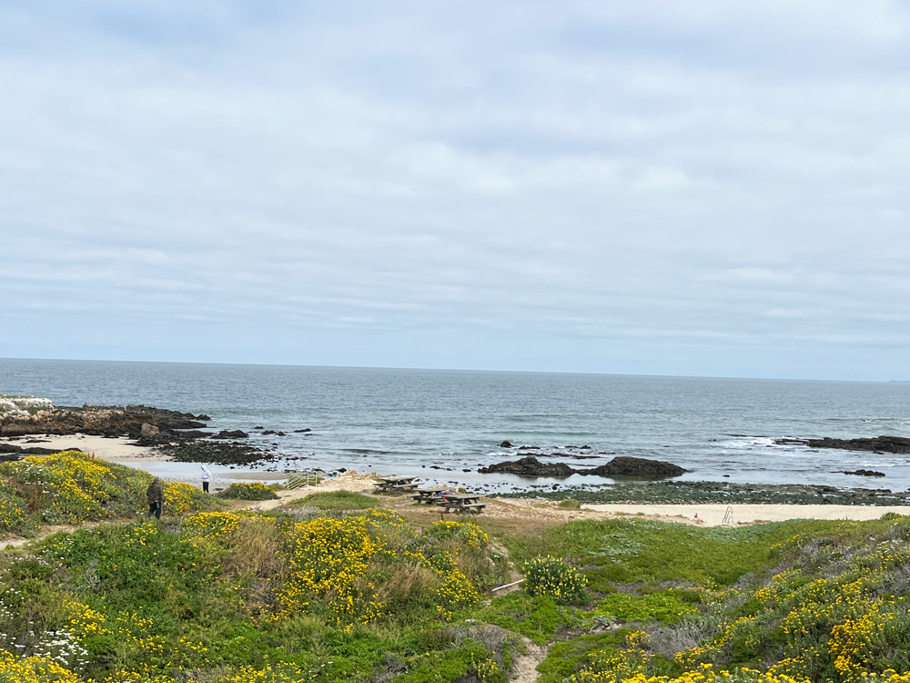 Pescadero State Beach