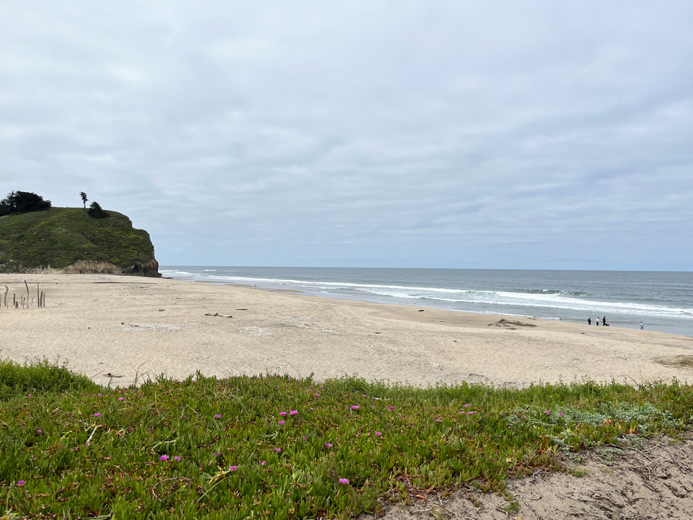 San Gregorio Beach