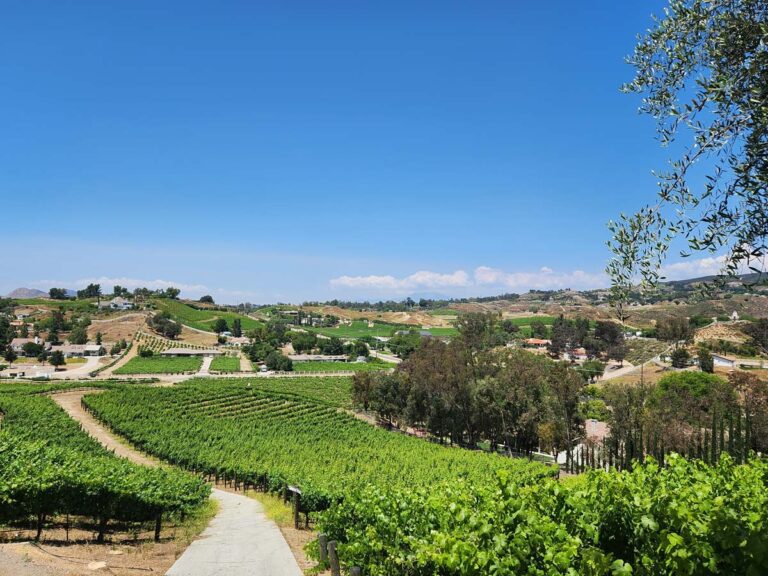 10 Temecula Wineries to Visit Best Wine Tasting Experiences Go Travel California