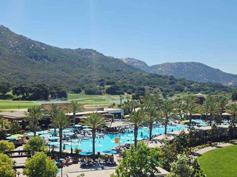 The Cove