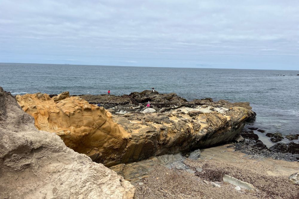 Bean Hollow Beach