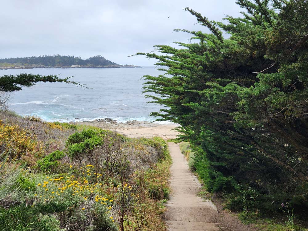 Go Travel California