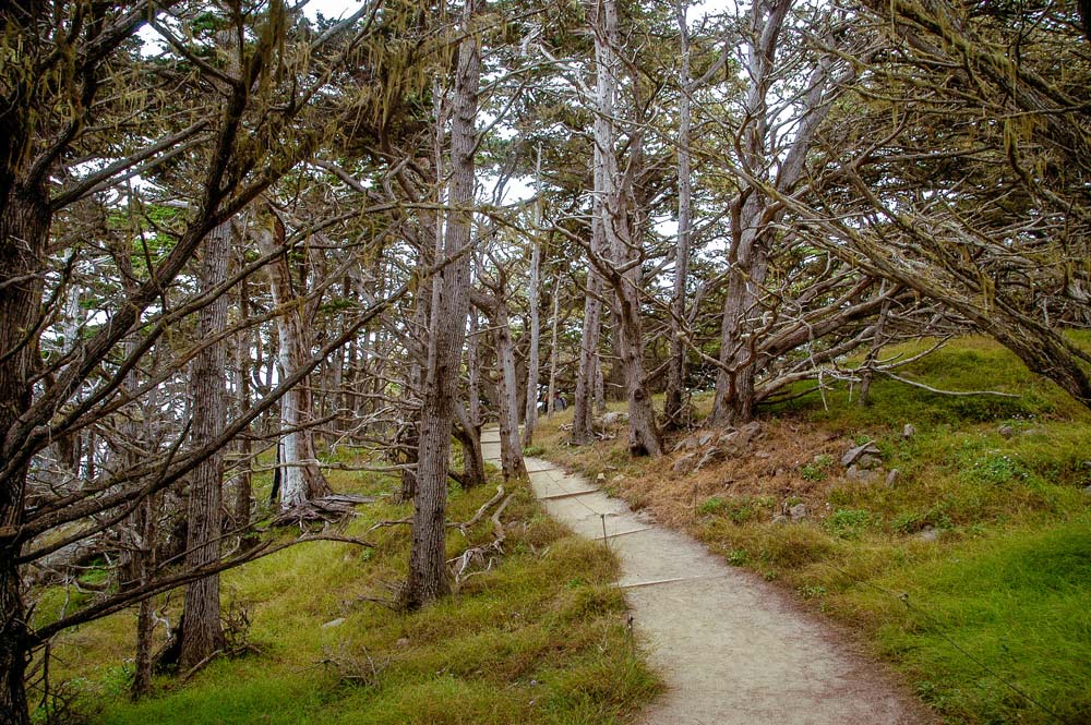 Cypress Grove Trail