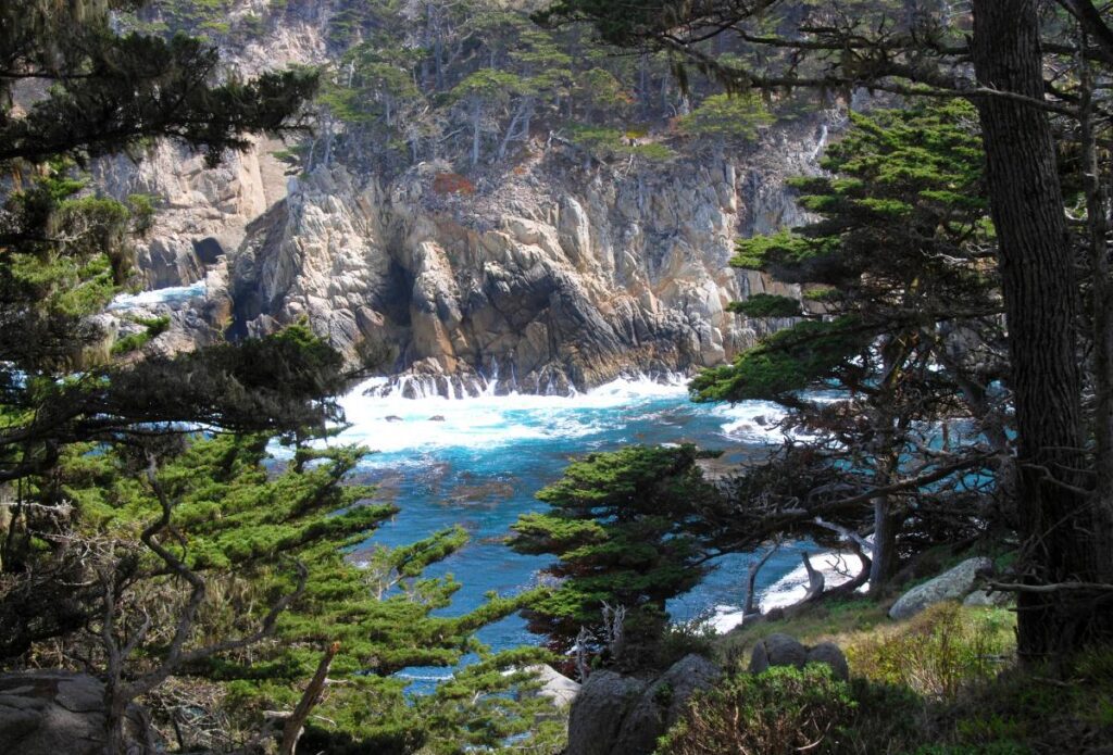 point lobos