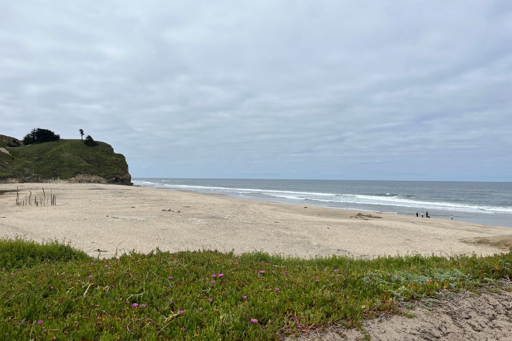 Pomponio beach