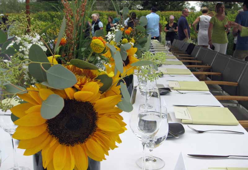 dining in Sonoma
