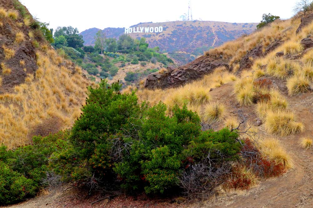 bronson caves